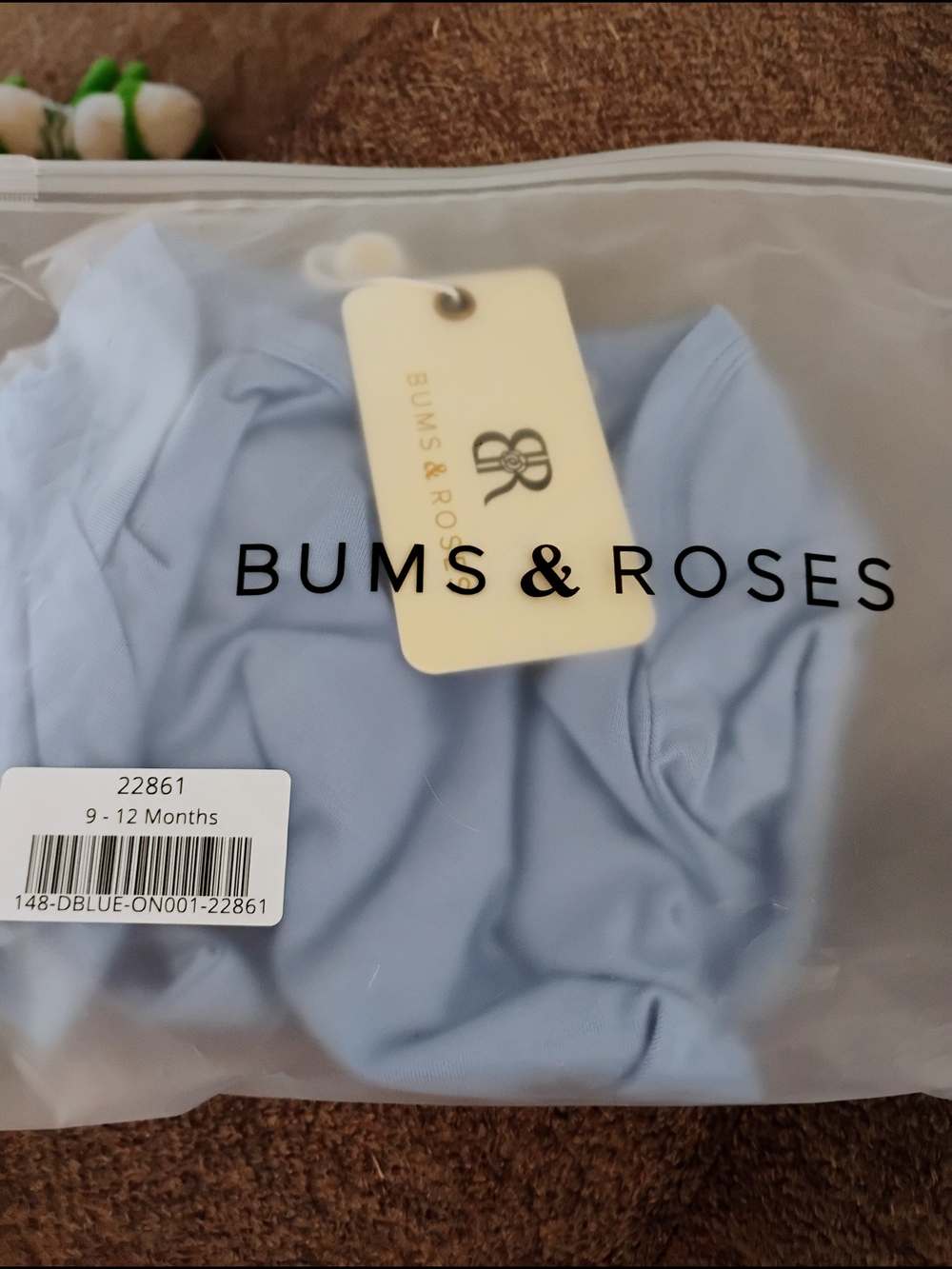 Bums & Roses Baby One-Piece Bodysuit in Light Blue